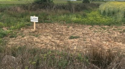 Land of 5,806 m² in Santibáñez de Vidriales (49610)