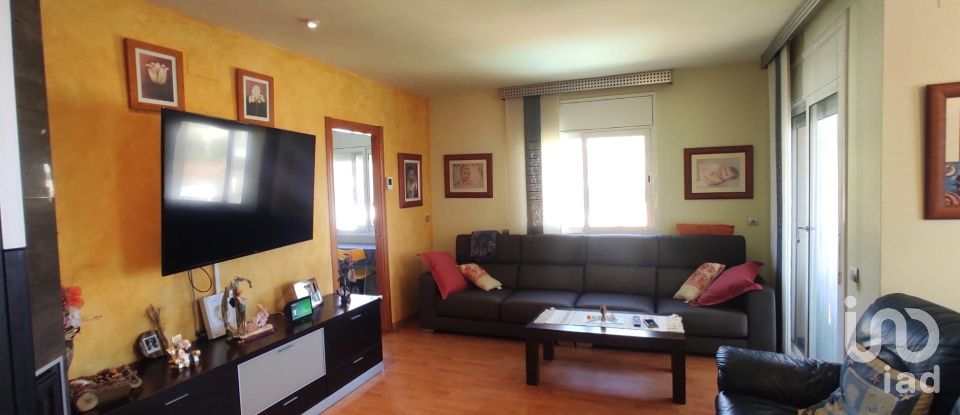 Gîte 4 chambres de 270 m² à Roda de Bara (43883)