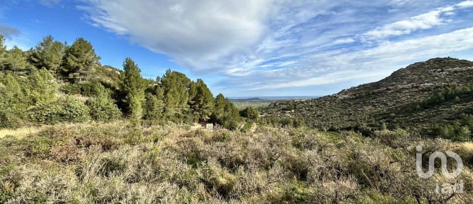 Land of 12,249 m² in Pego (03780)