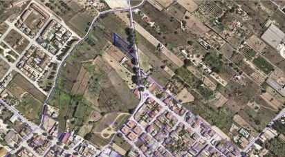 Land of 1,659 m² in Ulldecona (43550)