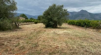 Land of 1,445 m² in Benidoleig (03759)