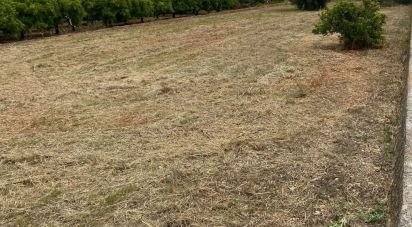 Land of 1,445 m² in Benidoleig (03759)