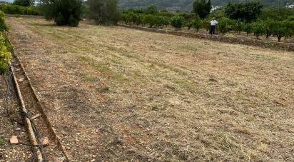 Land of 1,445 m² in Benidoleig (03759)