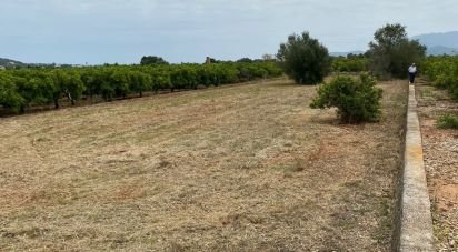 Land of 1,445 m² in Benidoleig (03759)