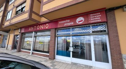 Shop / premises commercial of 224 m² in Puente Villarente (24226)