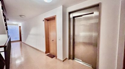 Apartment 1 bedroom of 56 m² in Palma de Mallorca (07002)