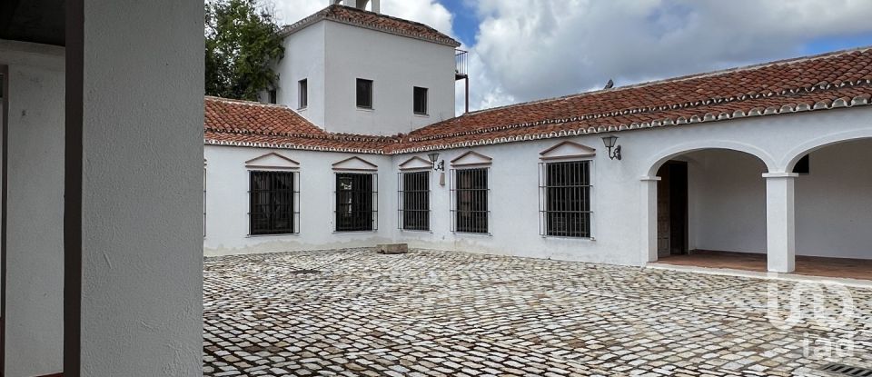Land 14 bedrooms of 683 m² in Hornachuelos (14740)