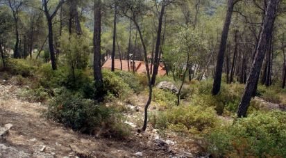Land of 776 m² in Olivella (08818)