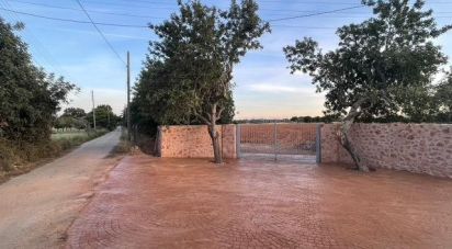 Land of 124,905 m² in Inca (07300)