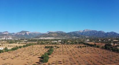 Land of 124,905 m² in Inca (07300)