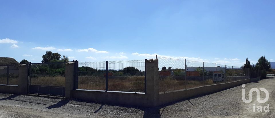 Terreno de 2.029 m² en Esparragal de Puerto Lumbreras (30891)