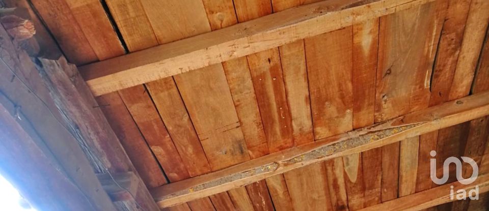 House 5 bedrooms of 307 m² in San Feliz de Orbigo (24287)