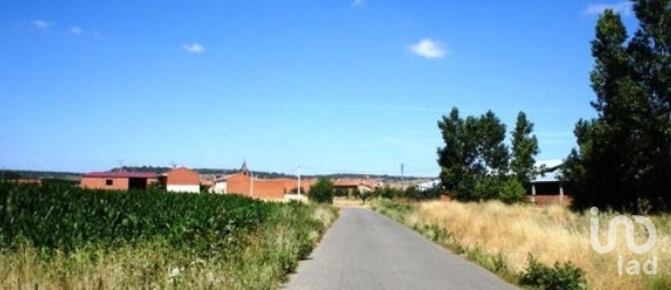 House 5 bedrooms of 307 m² in San Feliz de Orbigo (24287)