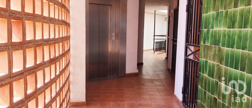 Appartement 1 chambre de 36 m² à Salou (43840)