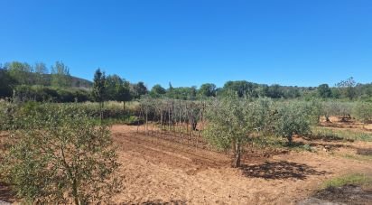 Terreny agrícola de 3.500 m² a Montferri (43812)