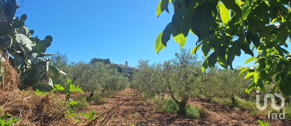 Terrain agricole de 3 500 m² à Montferri (43812)