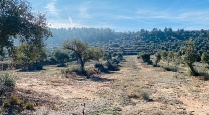 Land of 6 m² in L'Albages (25155)