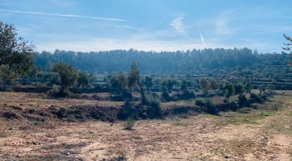 Land of 6 m² in L'Albages (25155)