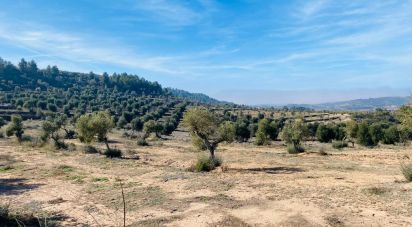 Land of 6 m² in L'Albages (25155)