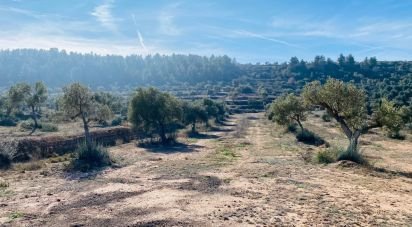 Land of 6 m² in L'Albages (25155)