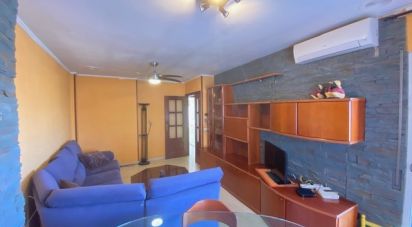 Appartement 4 chambres de 100 m² à Bonavista (43100)