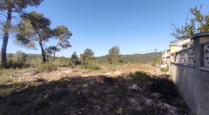 Terreno de 643 m² en La Bisbal del Penedès (43717)