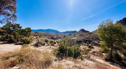 Land of 24,000 m² in Xixona (03100)