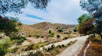 Land of 24,000 m² in Xixona (03100)