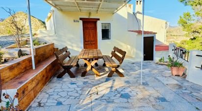 Land of 24,000 m² in Xixona (03100)