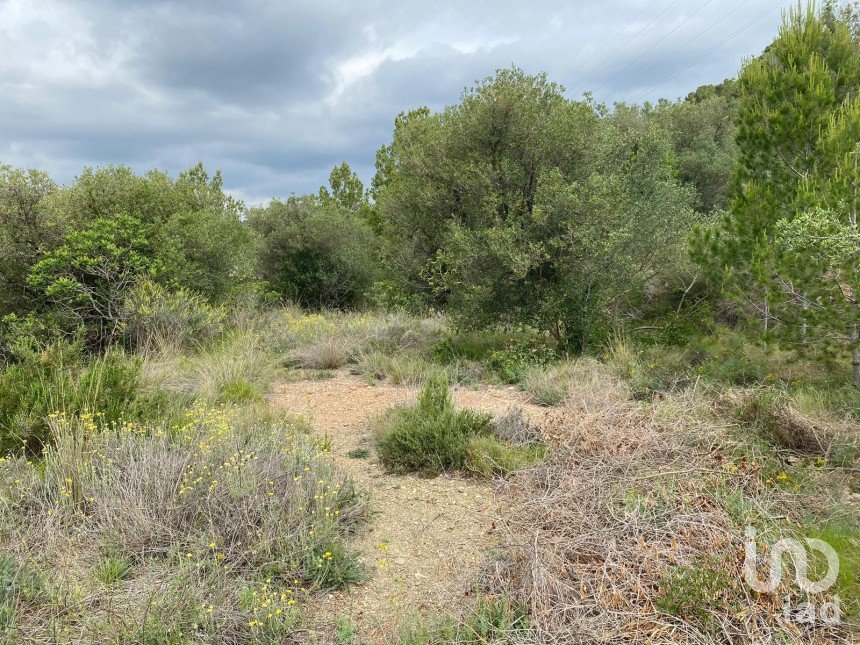 Land of 4,813 m² in Castellvell del Camp (43392)