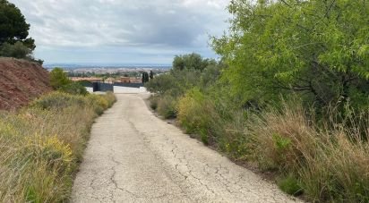 Terreno de 4.813 m² en Castellvell del Camp (43392)