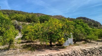 Land of 2,767 m² in Adsubia (03786)