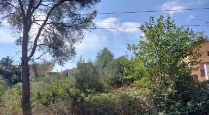 Land of in Canyelles (08811)