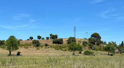 Land of 10,141 m² in Ciudad Rodrigo (37500)