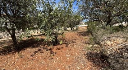 Terreny de 800 m² a Dénia (03700)