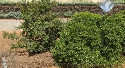 Land of 430 m² in Gandía (46730)