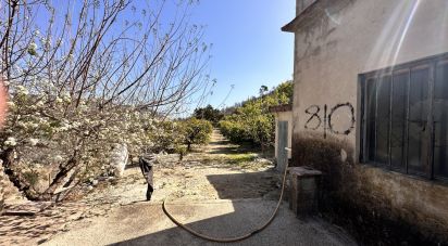 Maison rustique 1 chambre de 58 m² à Adsubia (03786)