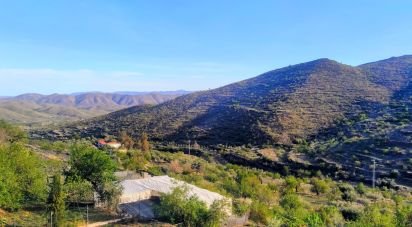 House 7 bedrooms of 250 m² in Senés (04213)