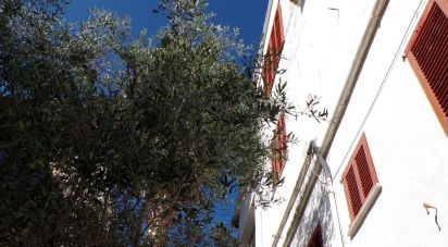 House 10 bedrooms of 339 m² in Port de Soller (07108)