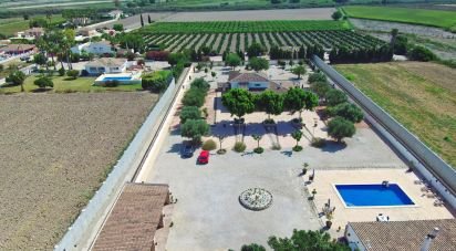 House 6 bedrooms of 470 m² in Dolores (03150)