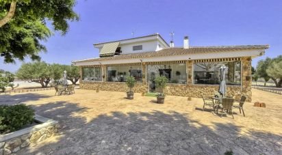 House 6 bedrooms of 470 m² in Dolores (03150)