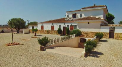 House 6 bedrooms of 470 m² in Dolores (03150)