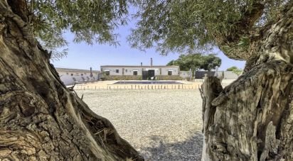 House 6 bedrooms of 470 m² in Dolores (03150)