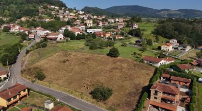 Land of 1,000 m² in San Roman de Candamo (33828)