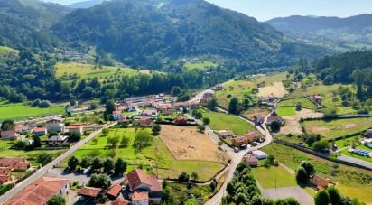 Land of 1,000 m² in San Roman de Candamo (33828)