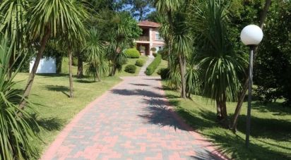 Cottage 4 bedrooms of 763 m² in Campaño (36157)