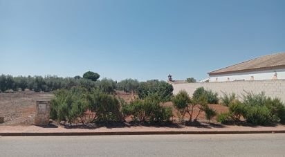 Land of 468 m² in Cañada Rosal (41439)
