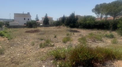 Land of 1,200 m² in Santa Oliva (43710)