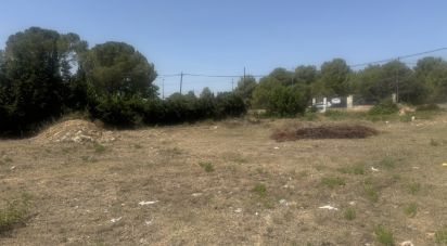 Land of 1,200 m² in Santa Oliva (43710)
