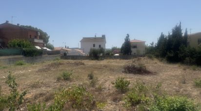 Land of 1,200 m² in Santa Oliva (43710)
